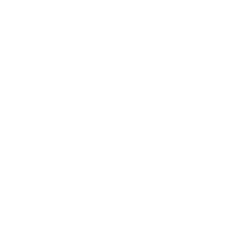 Logo Spintec